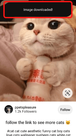 Pinterest App Download Step 3
